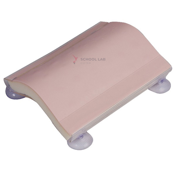 Intradermal Injection Pad
