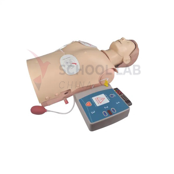 Half Body CPR Training Manikin with AED Trainer