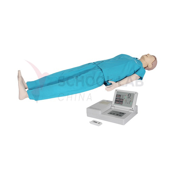 Advance CPR Training Manikin (consciousness judgement)