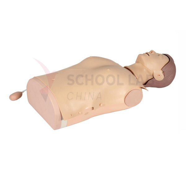 Half Body CPR Training Manikin