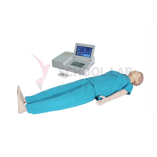 Advance CPR Training Manikin -LCD Display