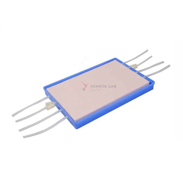 Vessel Separating &amp; Ligation Model