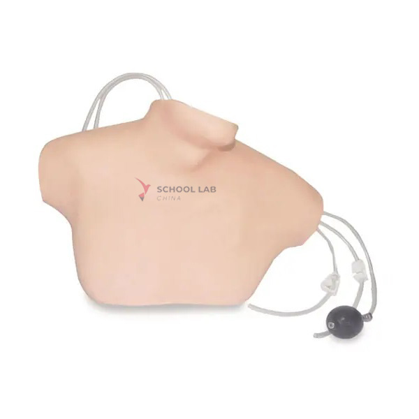 Central Venous Catheterization Model