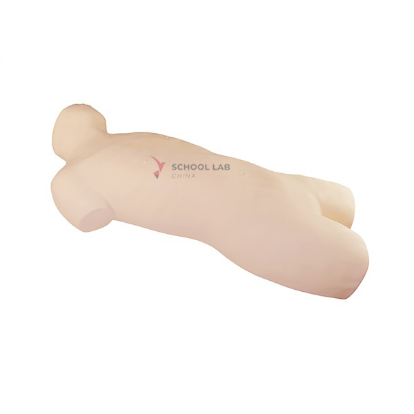 Pericardial Puncture and Endocardial Injection Simulator