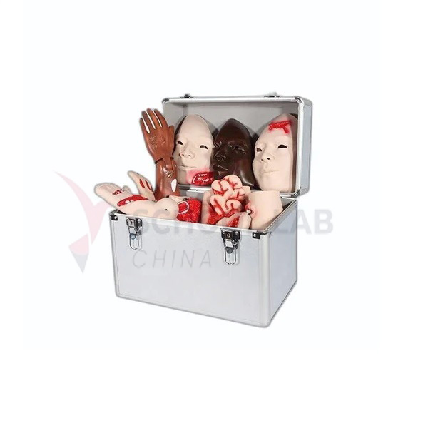 Advanced Trauma Evaluation Model