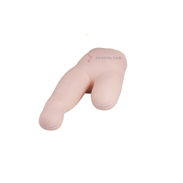 Advanced Inferior Position Bandaging Simulator