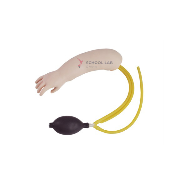 Advance Infant Arterial Puncture Arm Training Model