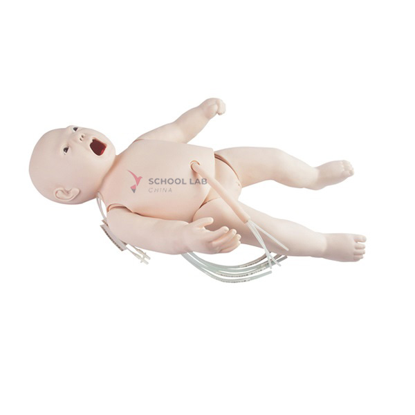Advance Full Functional One-year-old Child Manikin