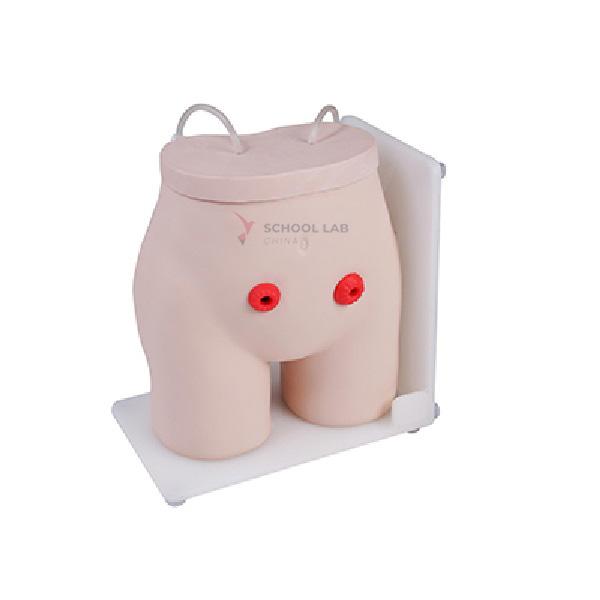 Ostomy Care Simulator