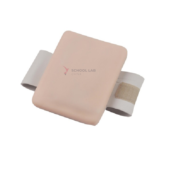 Opisthenar Intravenous Injection Model