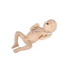 24 Weeks Premature Simulator