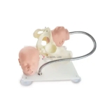 Female Pelvis with Fetal Head Model