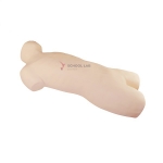 Pericardial Puncture and Endocardial Injection Simulator