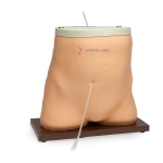 Peritoneal Dialysis Training Model