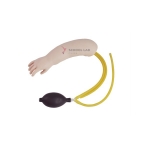 Advance Infant Arterial Puncture Arm Training Model
