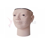 Retinopathy Examination Model